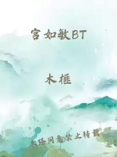 宫如敏BT