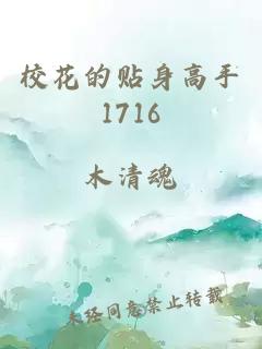 校花的贴身高手1716