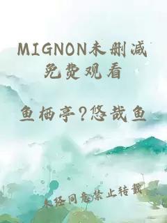 MIGNON未删减免费观看