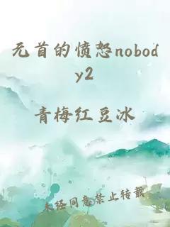 元首的愤怒nobody2