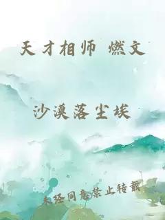 天才相师 燃文