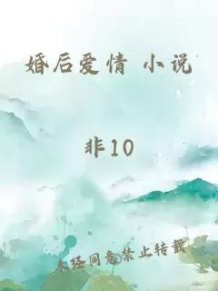 婚后爱情 小说