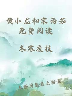 黄小龙和宋雨茹免费阅读