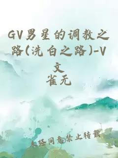 GV男星的调教之路(洗白之路)-V文