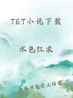 TET小说下载