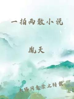 一拍两散小说