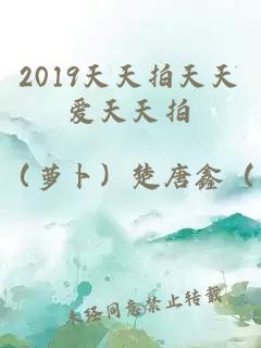 2019天天拍天天爱天天拍