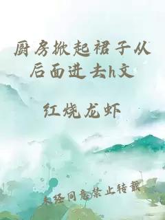 厨房掀起裙子从后面进去h文