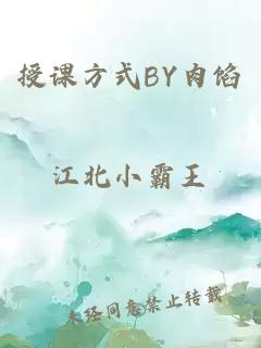 授课方式BY肉馅