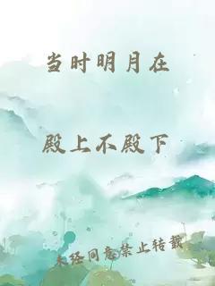 当时明月在