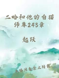 二哈和他的白猫师尊243章