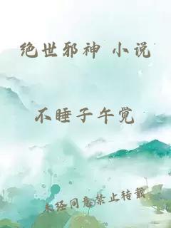 绝世邪神 小说