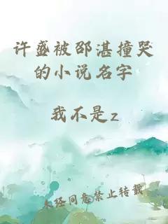 许盛被邵湛撞哭的小说名字