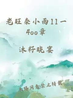 老旺秦小雨11一4oo章