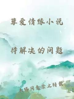 孽爱情缘小说