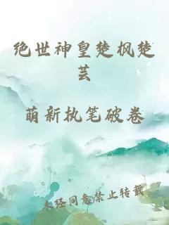 绝世神皇楚枫楚芸