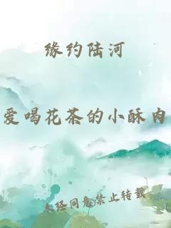 缘约陆河