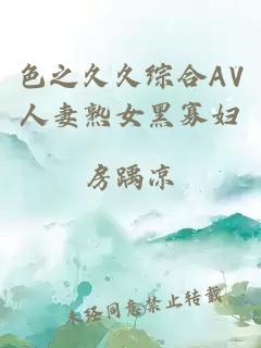 色之久久综合AV人妻熟女黑寡妇