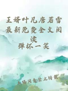 王婿叶凡唐若雪最新免费全文阅读