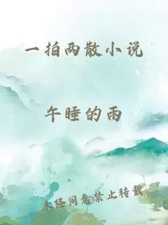 一拍两散小说