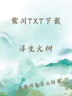 紫川TXT下载