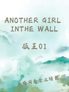 ANOTHER GIRL INTHE WALL