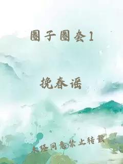 圈子圈套1