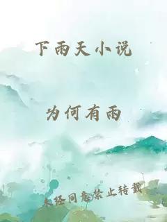 下雨天小说