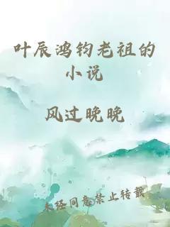 叶辰鸿钧老祖的小说