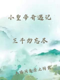 小皇帝奇遇记