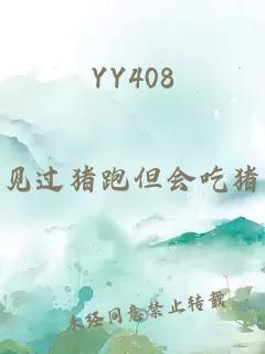 YY408