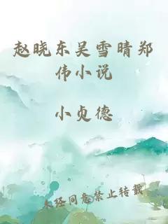 赵晓东吴雪晴郑伟小说