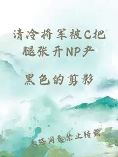 清冷将军被C把腿张开NP产