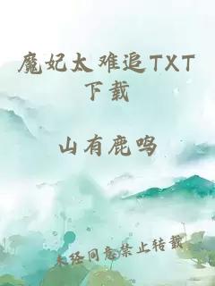 魔妃太难追TXT下载