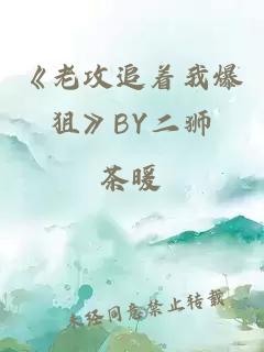 《老攻追着我爆狙》BY二狮