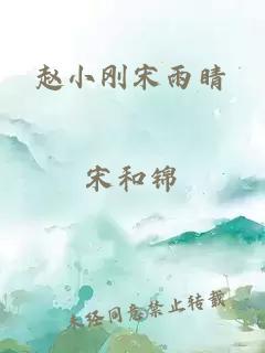 赵小刚宋雨睛