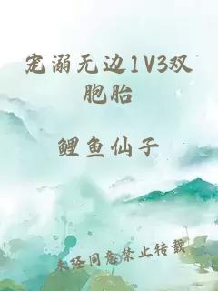 宠溺无边1V3双胞胎