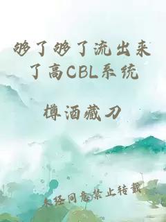 够了够了流出来了高CBL系统