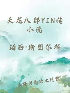 天龙八部YIN传小说