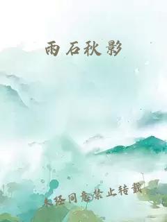 雨石秋影