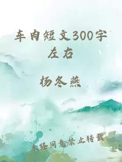 车肉短文300字左右