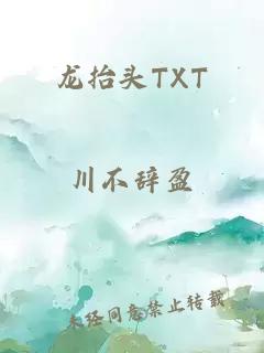 龙抬头TXT