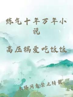 练气十年万年小说