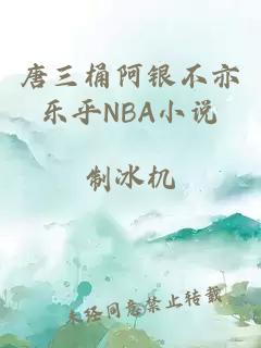 唐三桶阿银不亦乐乎NBA小说