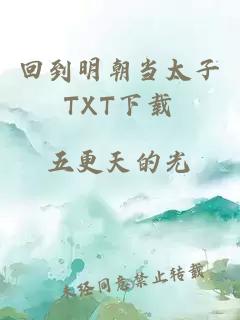 回到明朝当太子TXT下载