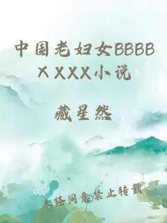 中国老妇女BBBBⅩXXX小说