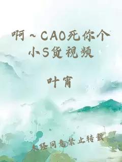 啊～CAO死你个小S货视频