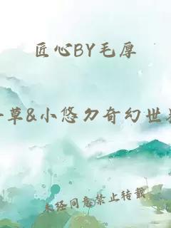 匠心BY毛厚