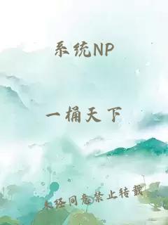 系统NP