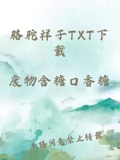 骆驼祥子TXT下载